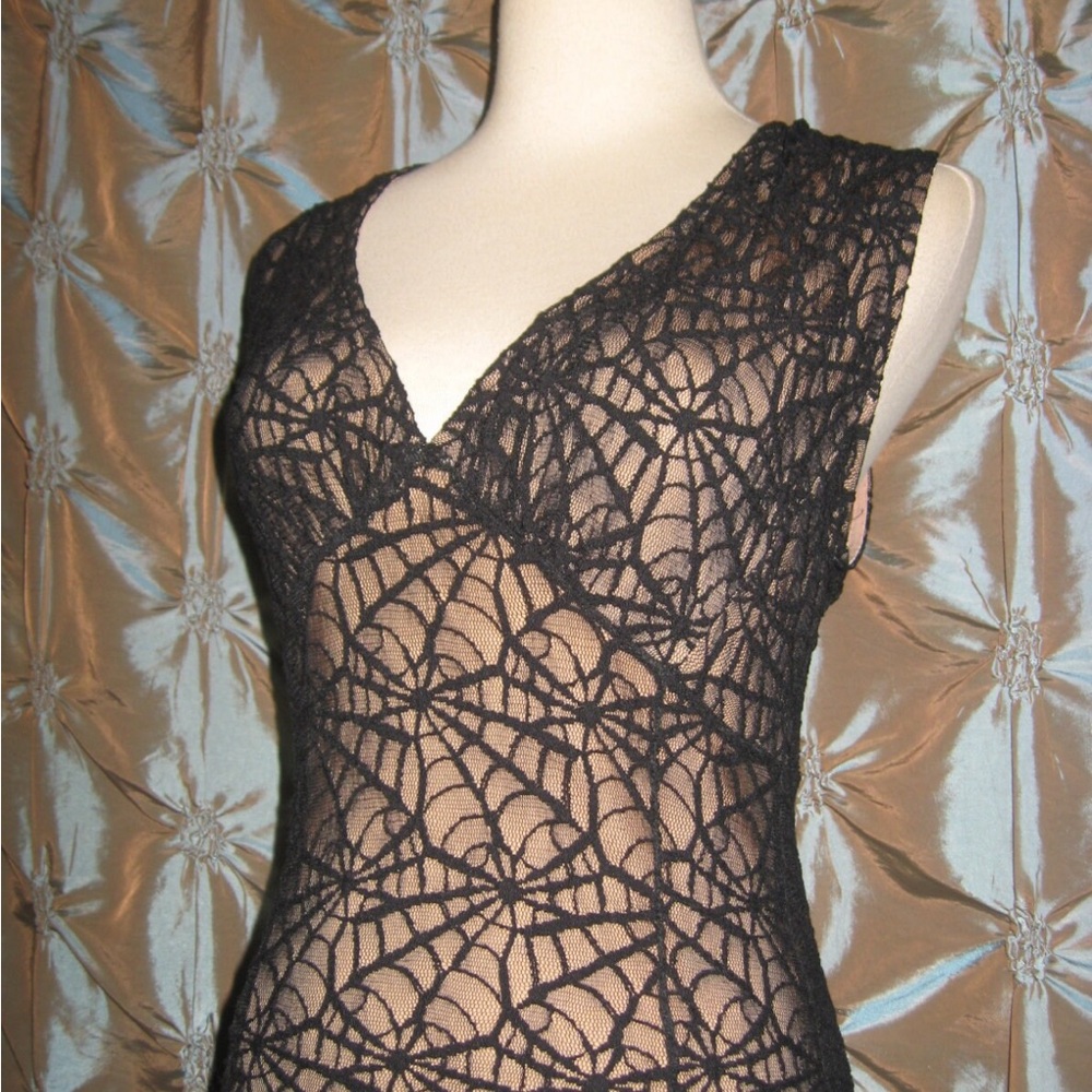 Vintage Gothic Spider Web Lace Dress
